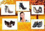 Botines o zapatos abotinados